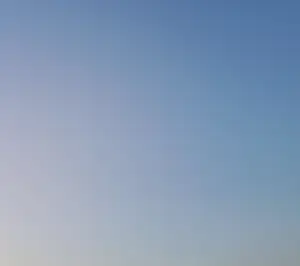 جرين